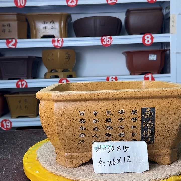 紫砂花盆蛇年大吉