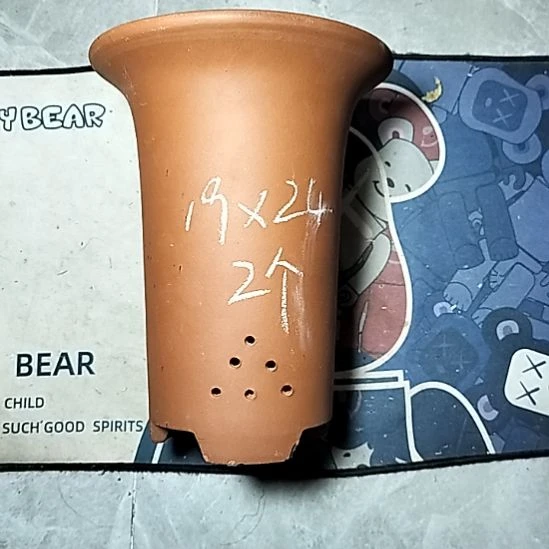 大红兰花两个花盆