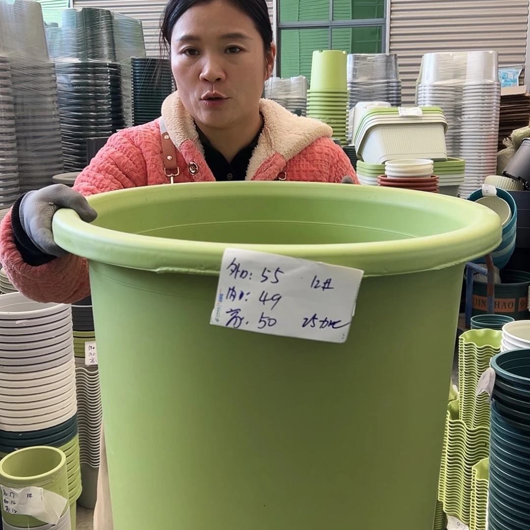 瑕疵四季盆12#果绿色2个无托