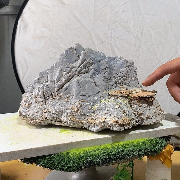 花盆摆件家居装饰