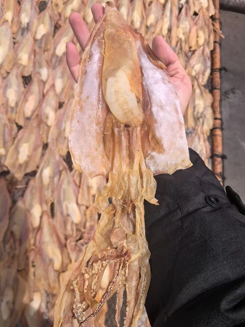 正宗惠安小岞小乍崇武带卵鱿鱼母干货孕妇500g1000g福建特产