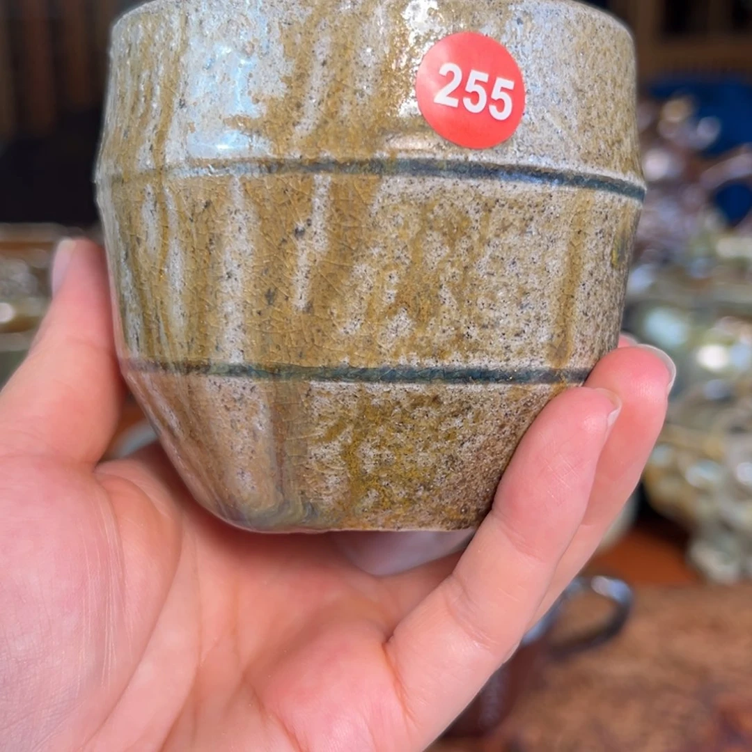 255柴烧主人杯呀呀呀呀呀