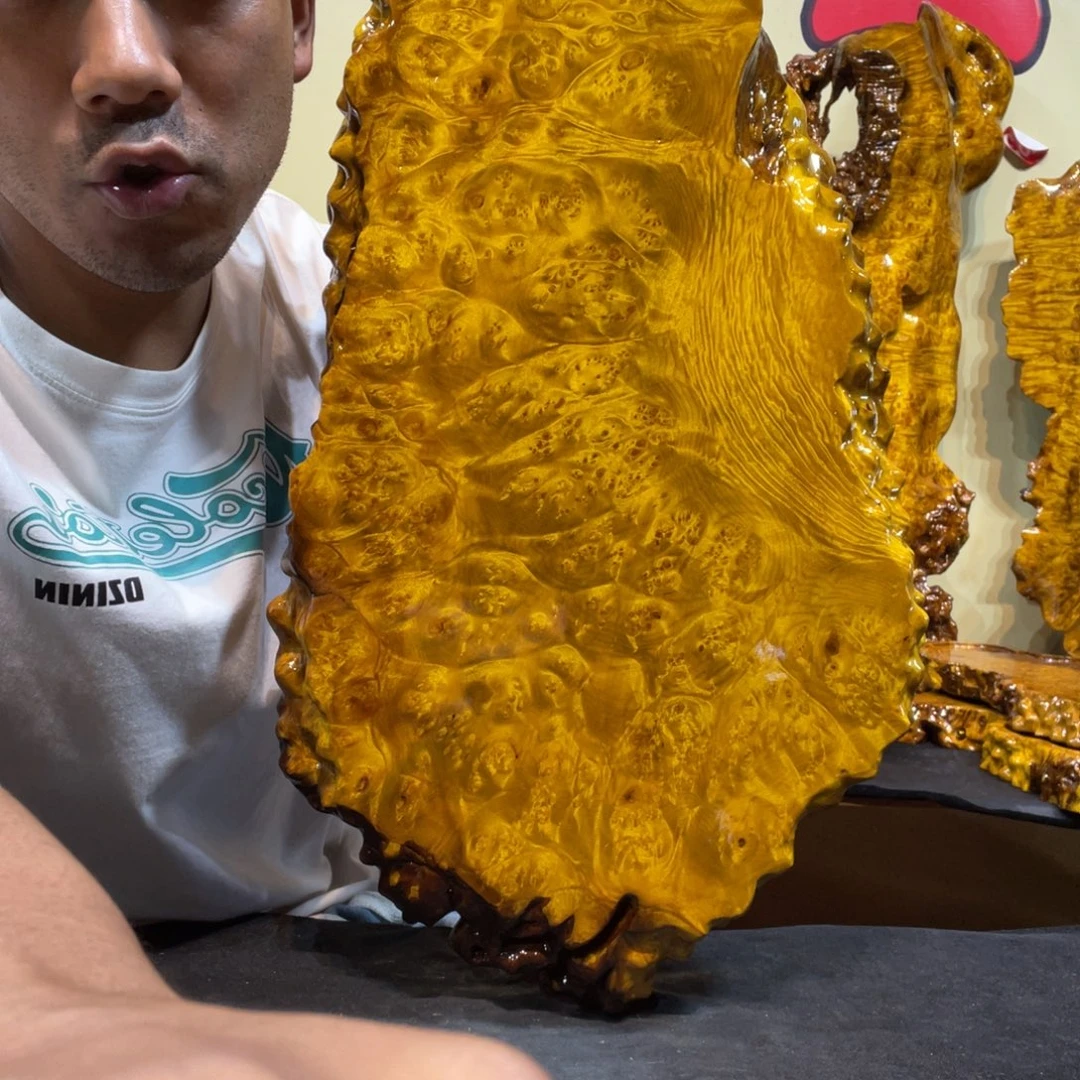 缅甸黄金樟树瘤工