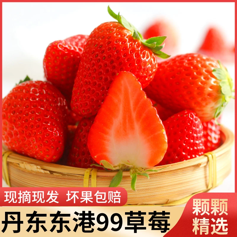 【当季鲜果】产地99丹东草莓顺丰包邮现采现发
