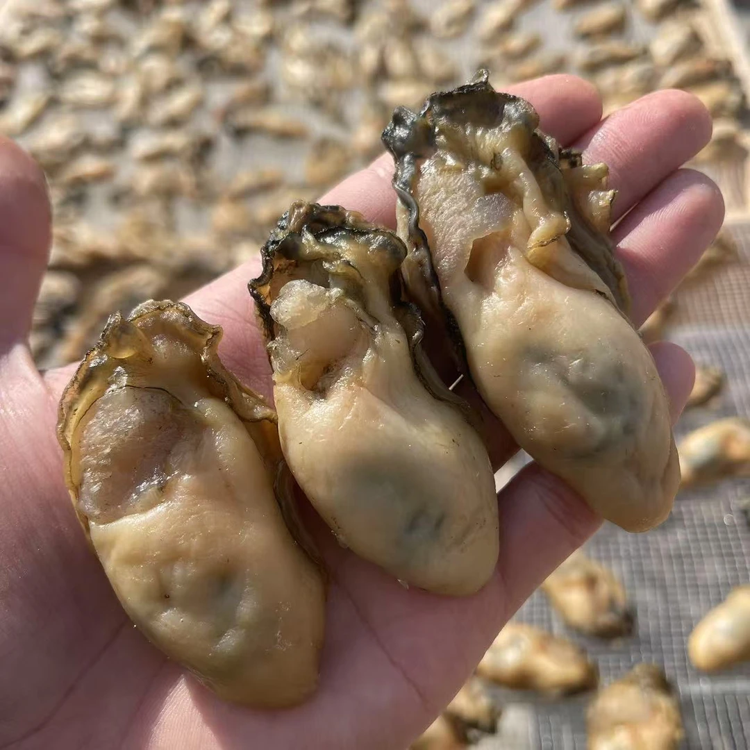 台山特产20-25头金蚝生晒金蚝 新鲜淡晒 5-6成干