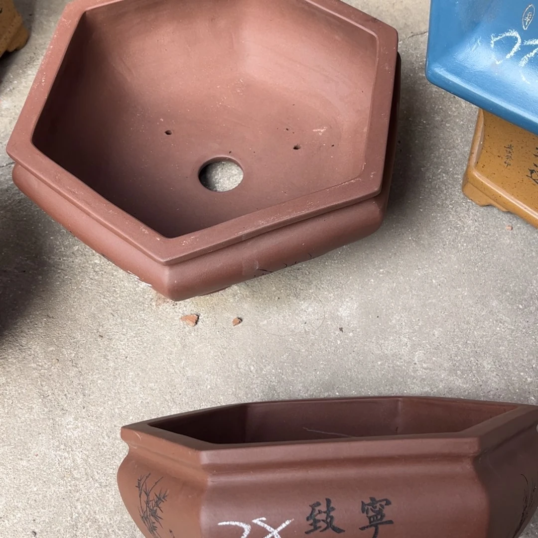 花盆紫砂盆景艺术