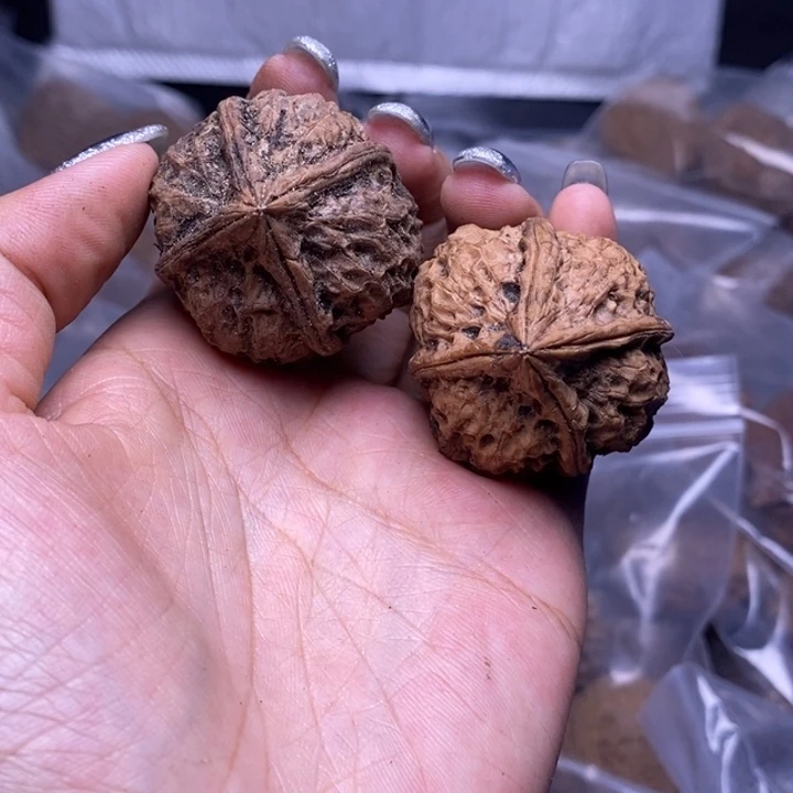核桃云南野生铁核桃55号37mm