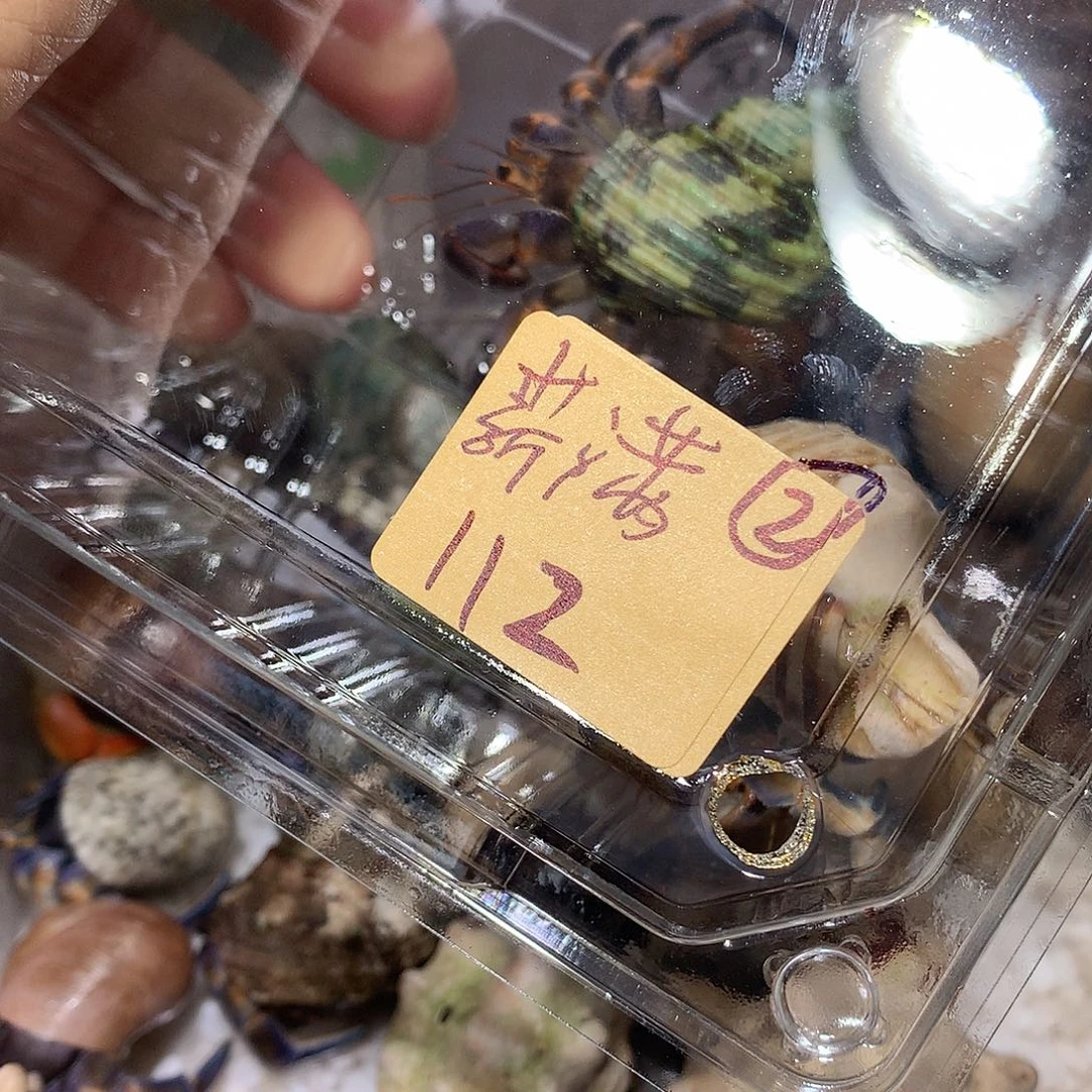 薪满专拍奔跑的寄居蟹