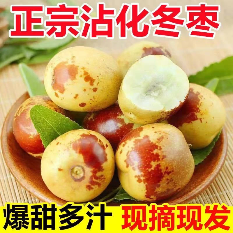 山东滨州特产沾化冬枣脆爽可口新鲜直达精选优质鲜果