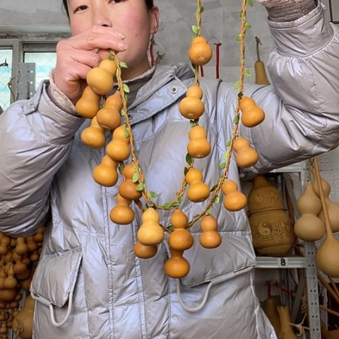 ?****宁天然植物葫芦文玩