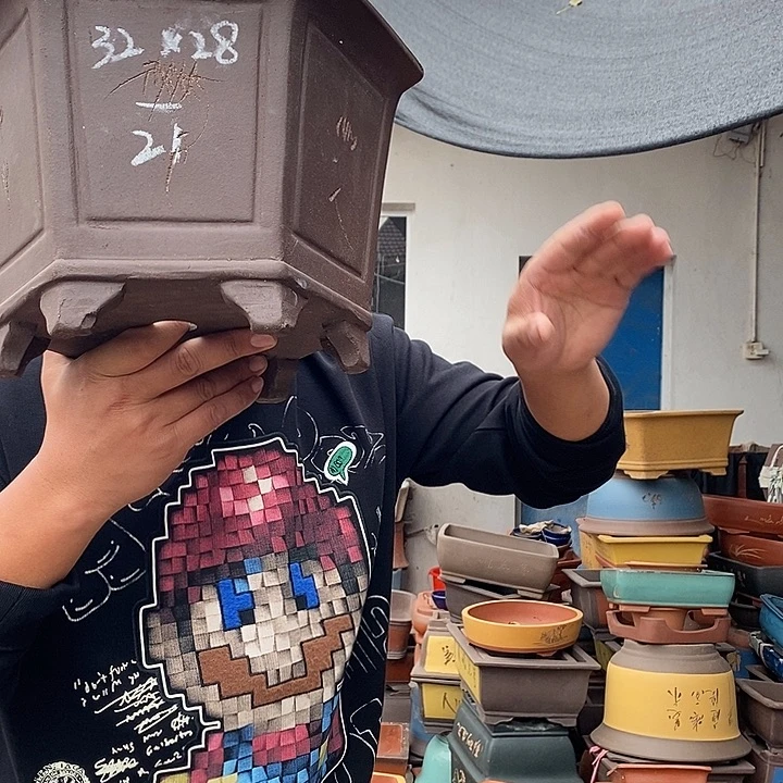 紫砂花盆宜兴紫砂