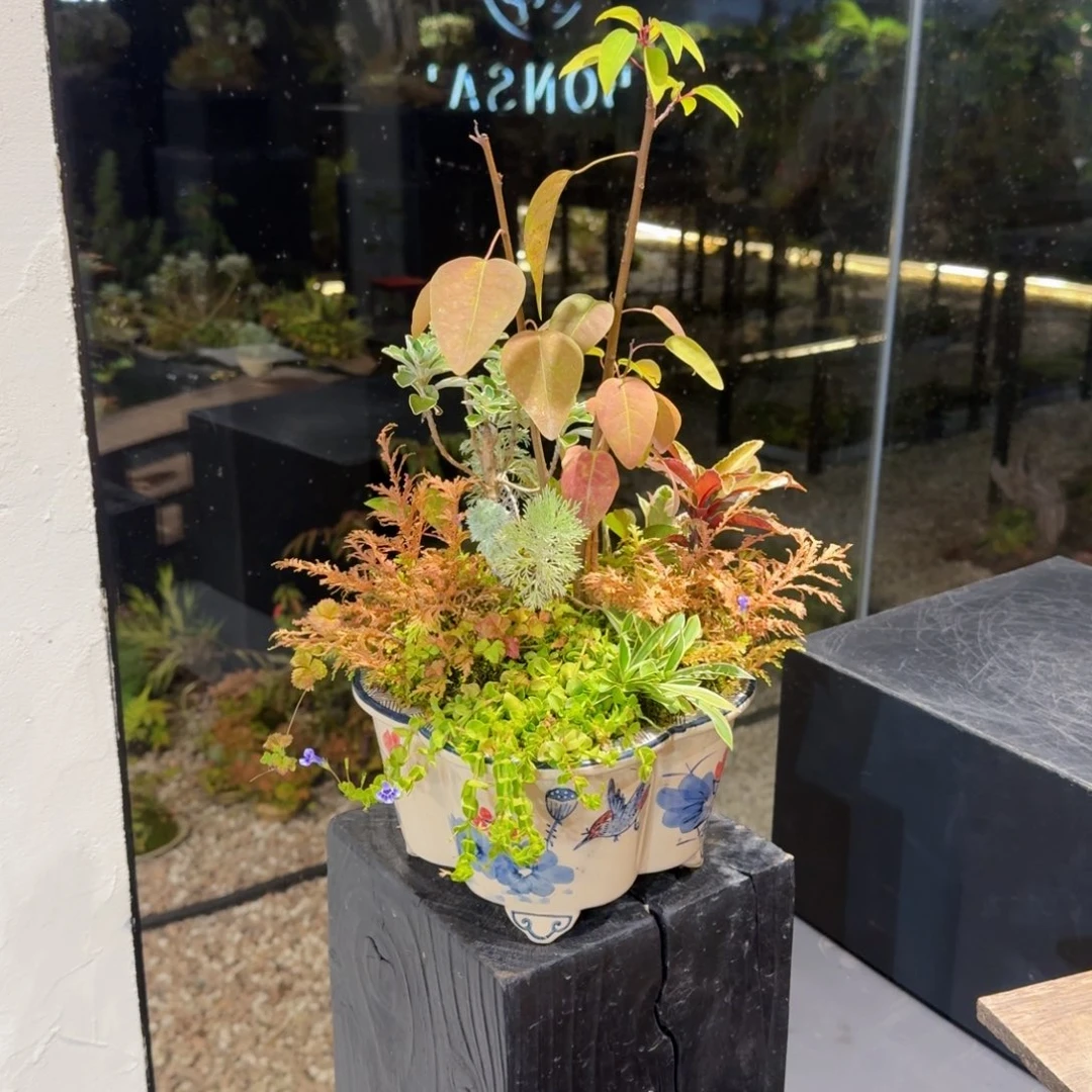 无花朵山野草手绘盆