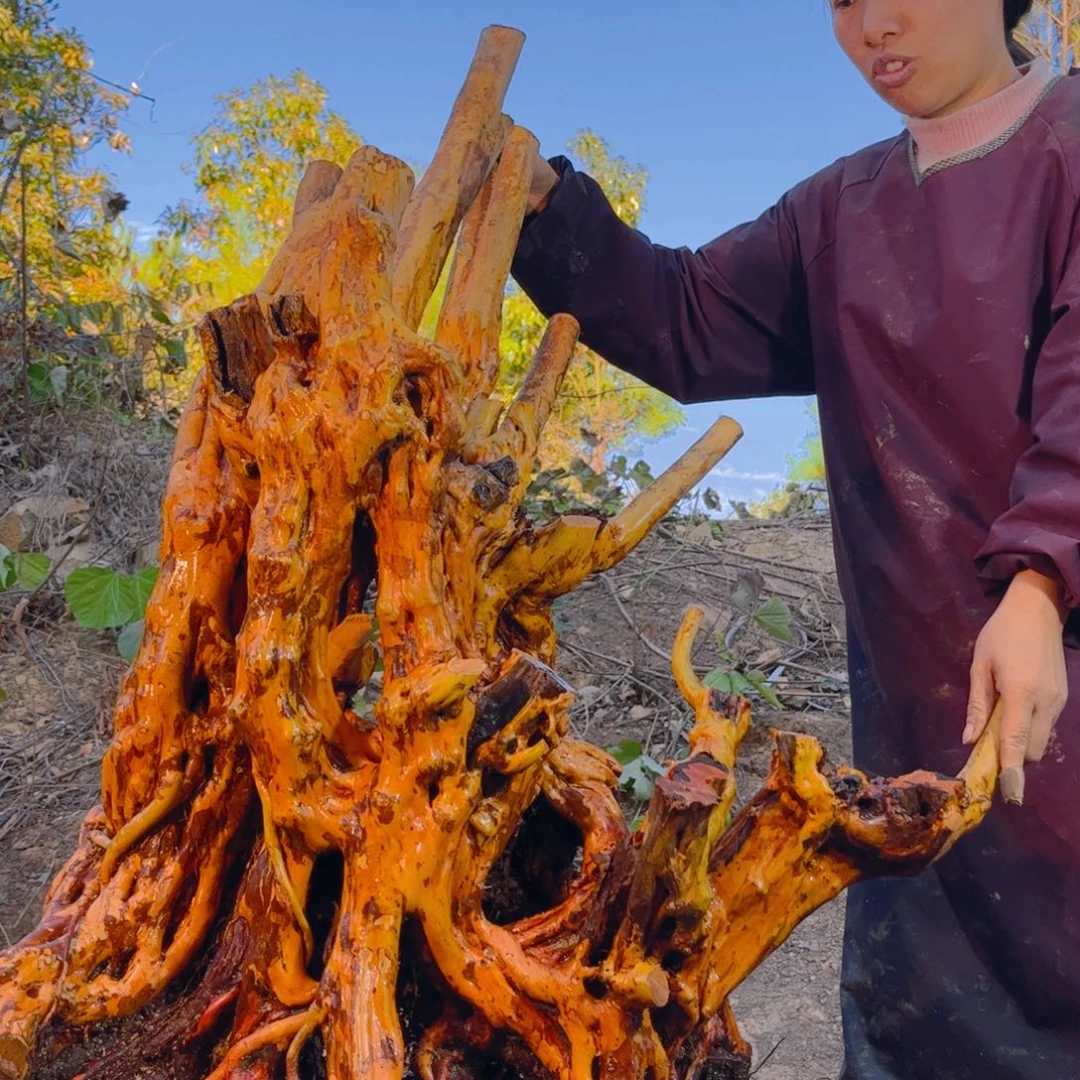 花***酒无花朵映山红杜鹃花