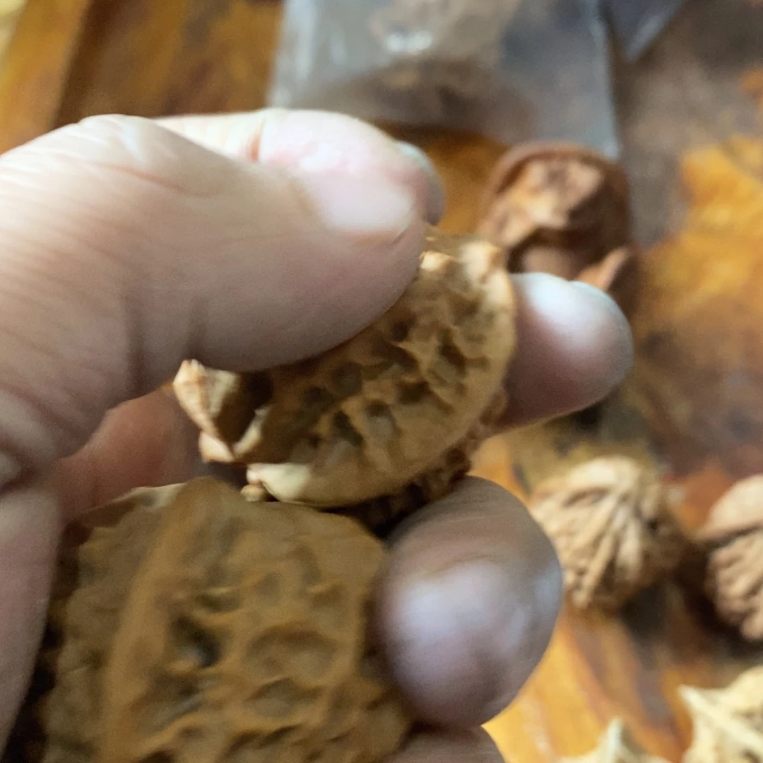 c**l秦岭南北区有两块