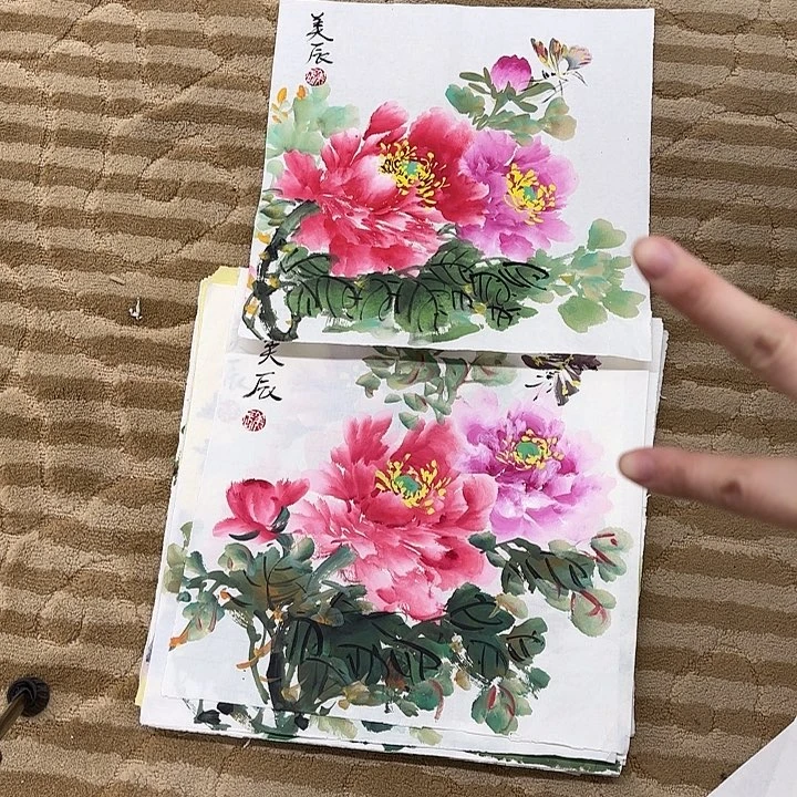 国画花鸟的翅膀是白色和
