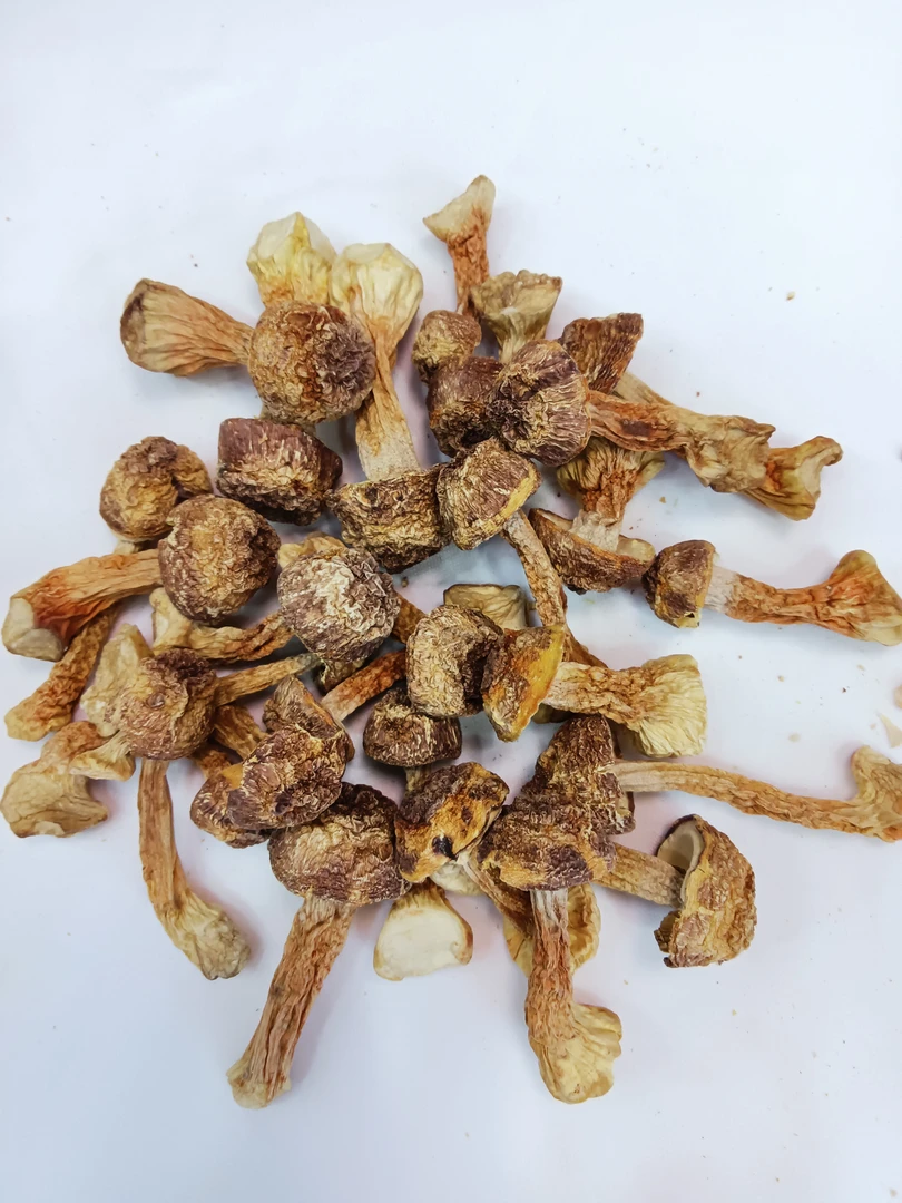 无熏硫姬松茸干货甄选煲汤食用菌菇