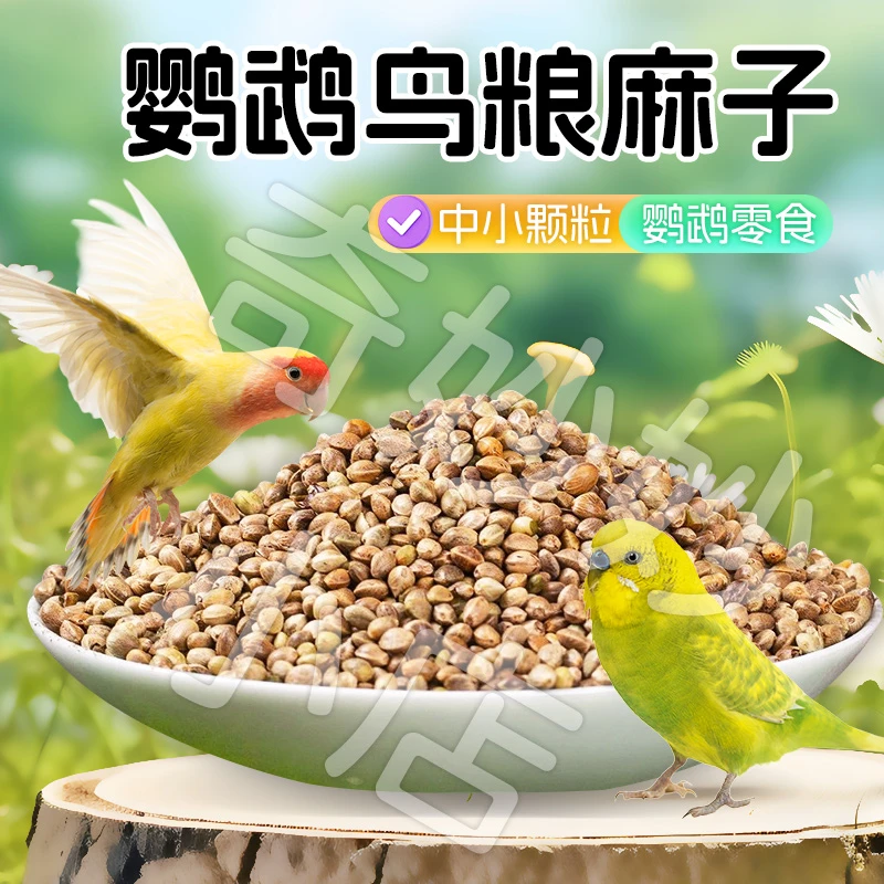 【宠大条】新火麻仁鹦鹉鸟粮纸壳火麻子鸟类粮饲料奖励零食鸟食