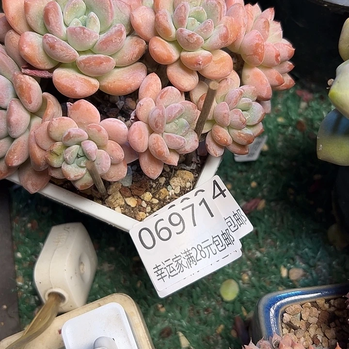 幸运的是我还没遇到过