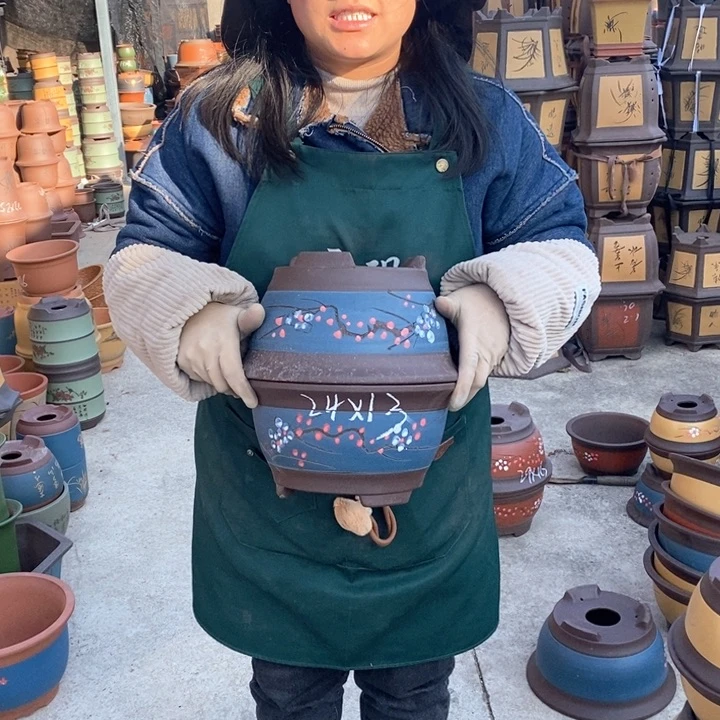 紫砂花盆盆栽花卉苗木种植