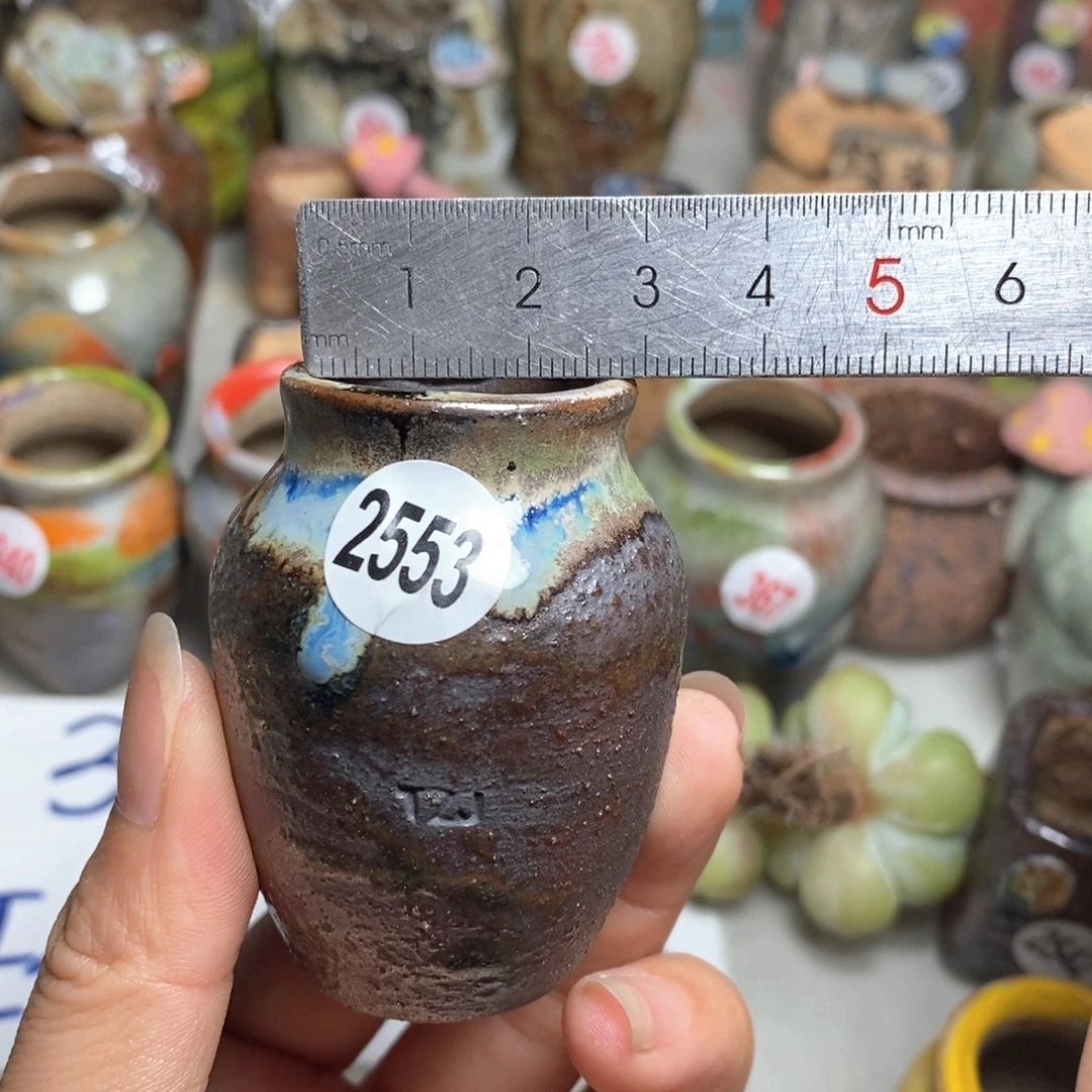 拍5送一个小礼物