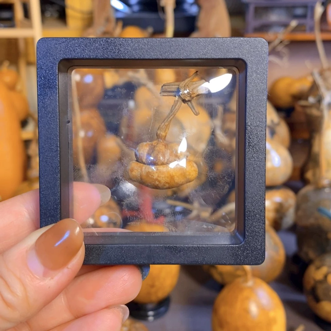 观*精品熊脸钱袋子草里金葫芦