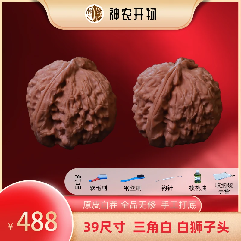 【神农精选】三角白狮子头39尺寸天然无药自然生长