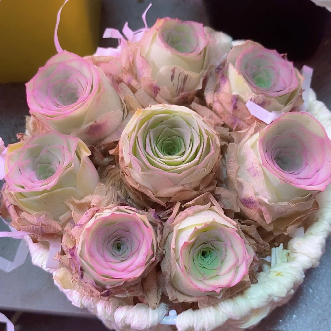 紫玲珑花篮一物一拍002