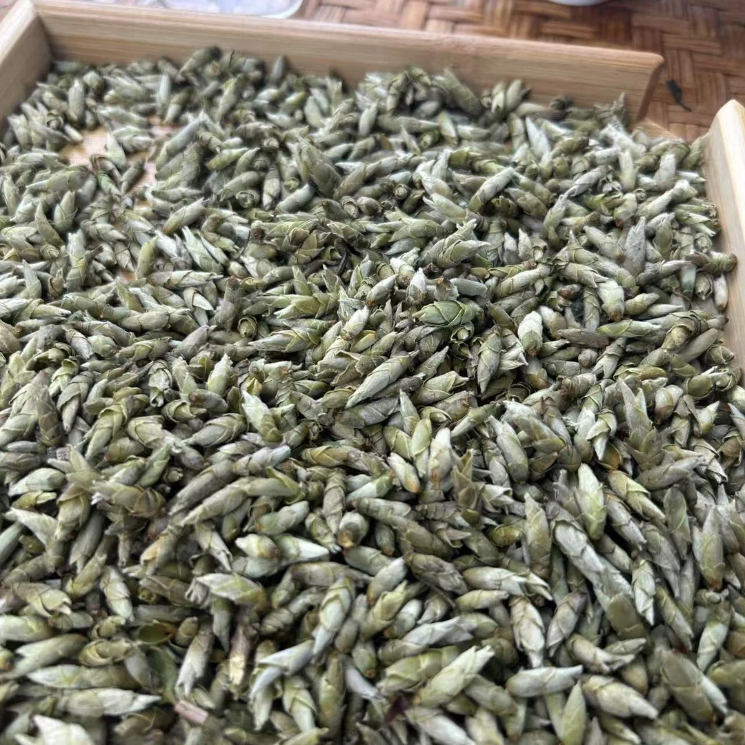2024年邦东大雪山普洱雪芽苞（100g）【9号】