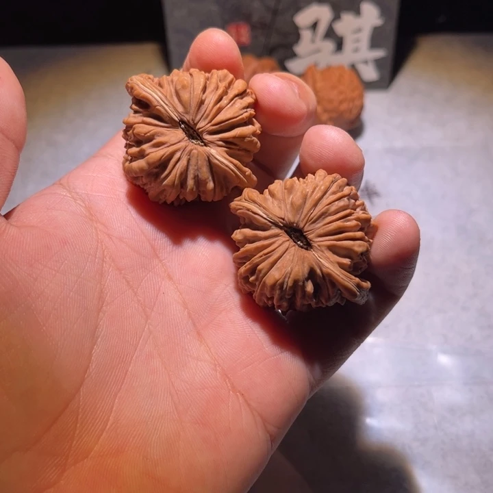 哈哈哈哈哈哈哈哈哈哈哈哈