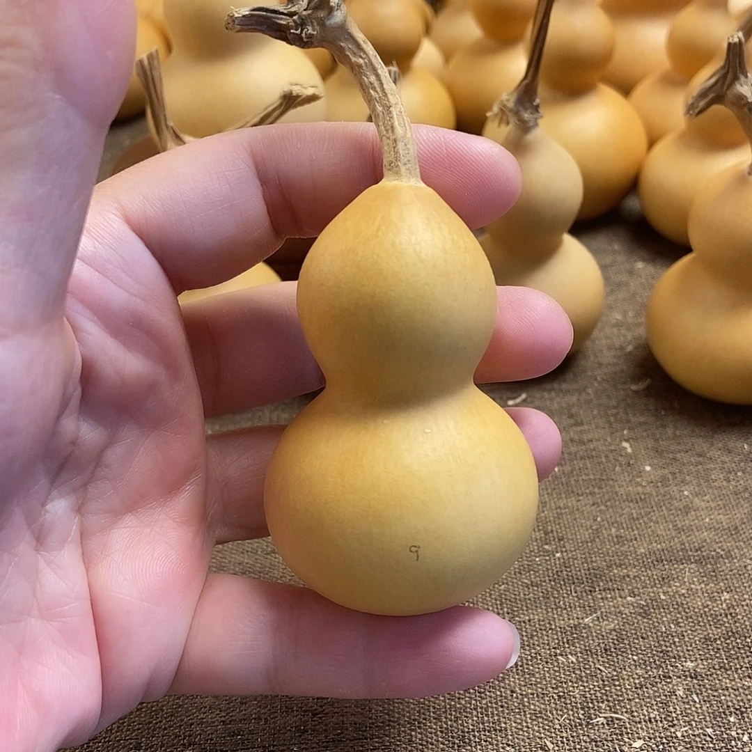 文玩葫芦 完美主义者 慎拍9