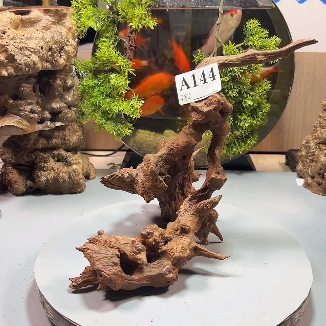 大果紫檀（缅甸花梨）大***漢