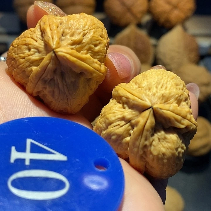 核桃石斧三棱尺寸33