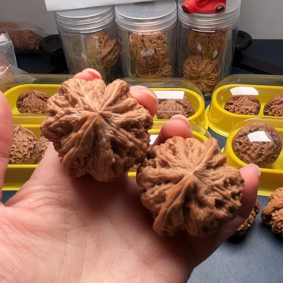 核桃42尺寸大粗筋