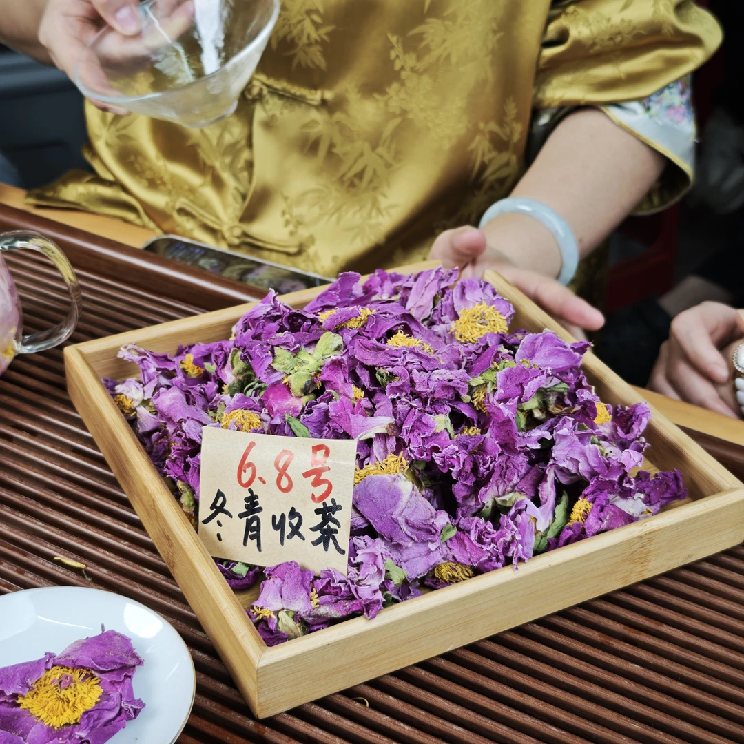 头茬芍药花冠   冬青收茶