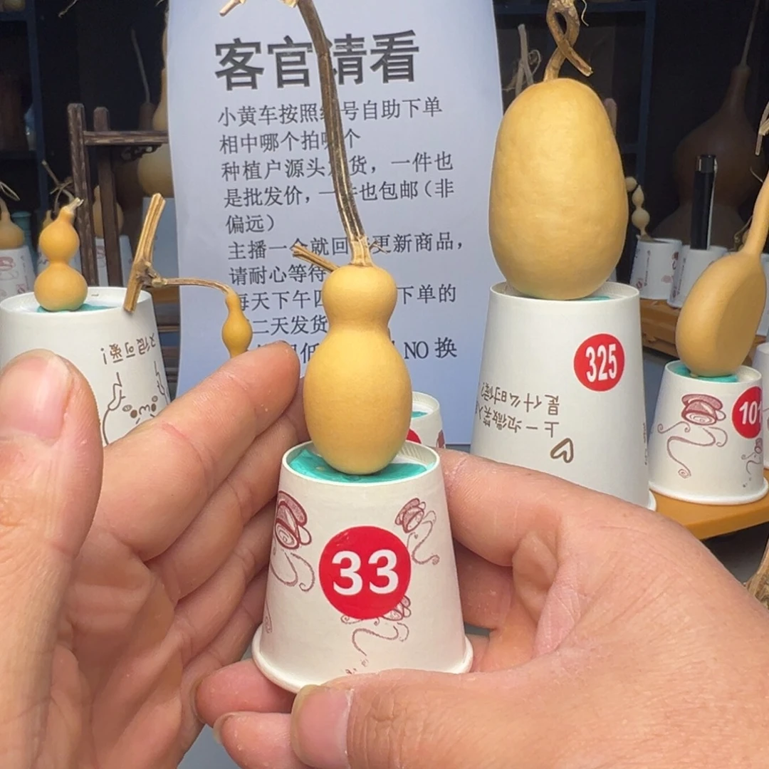 闪电购自助下单编号33