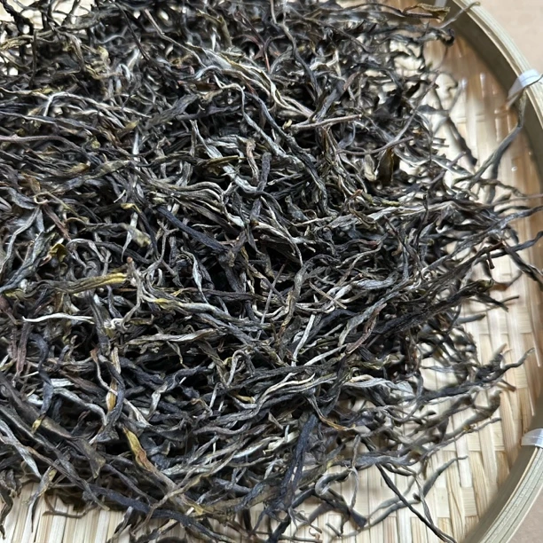 【苗旧寨蟒蛇箐23号】蟒蛇箐头春古树体验装