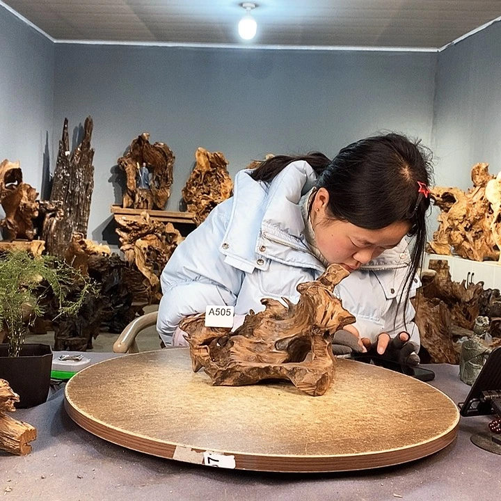 茶盏w*x505株木的随行的根艺