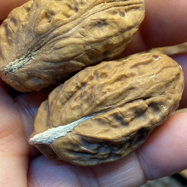 吊坠文玩核桃娜姐86
