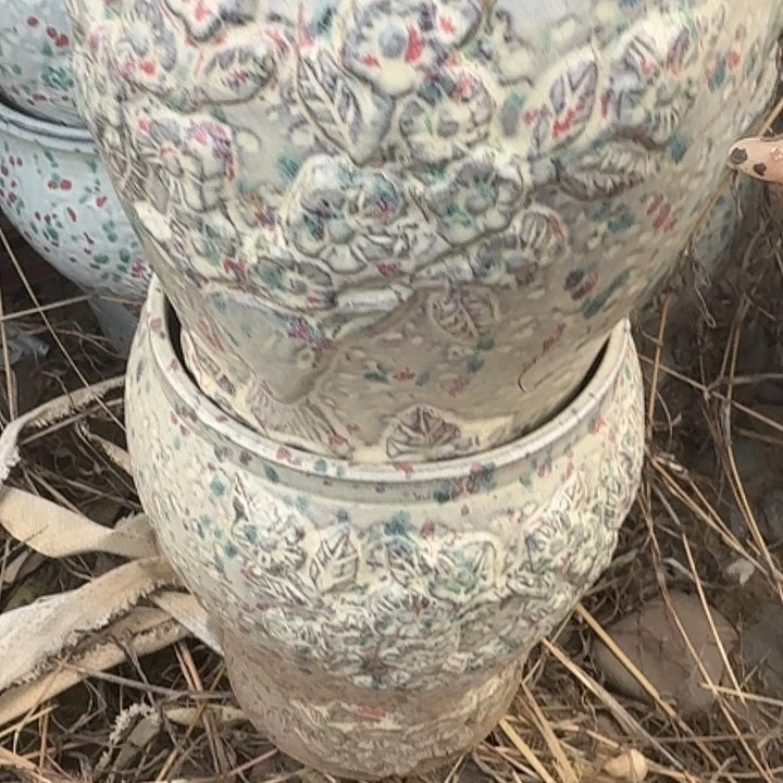 紫砂紫砂紫砂多退化或