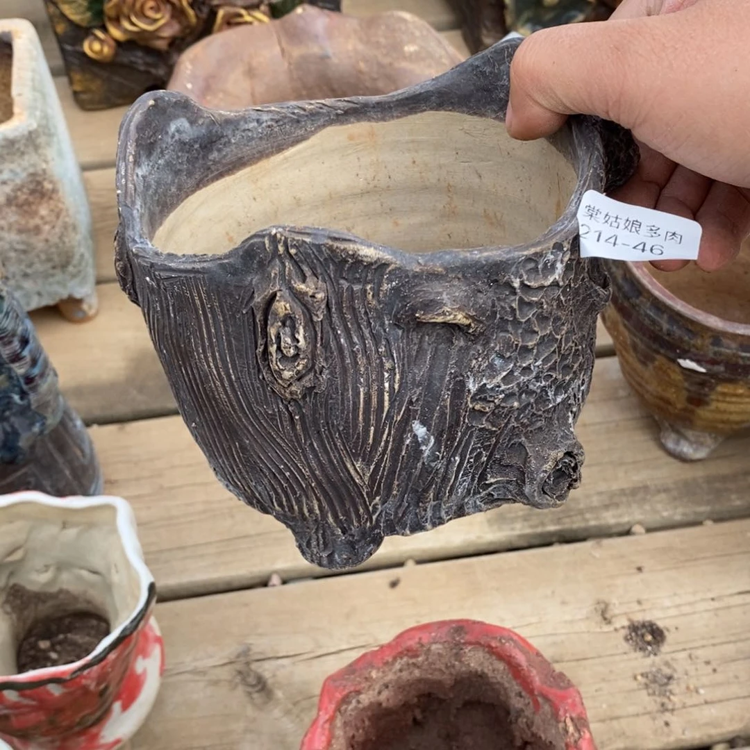 红陶A***n46号多肉盆一个呀