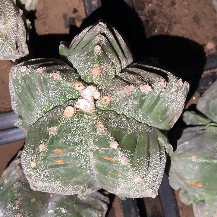 F***F哈哈哈哈哈哈哈哈哈