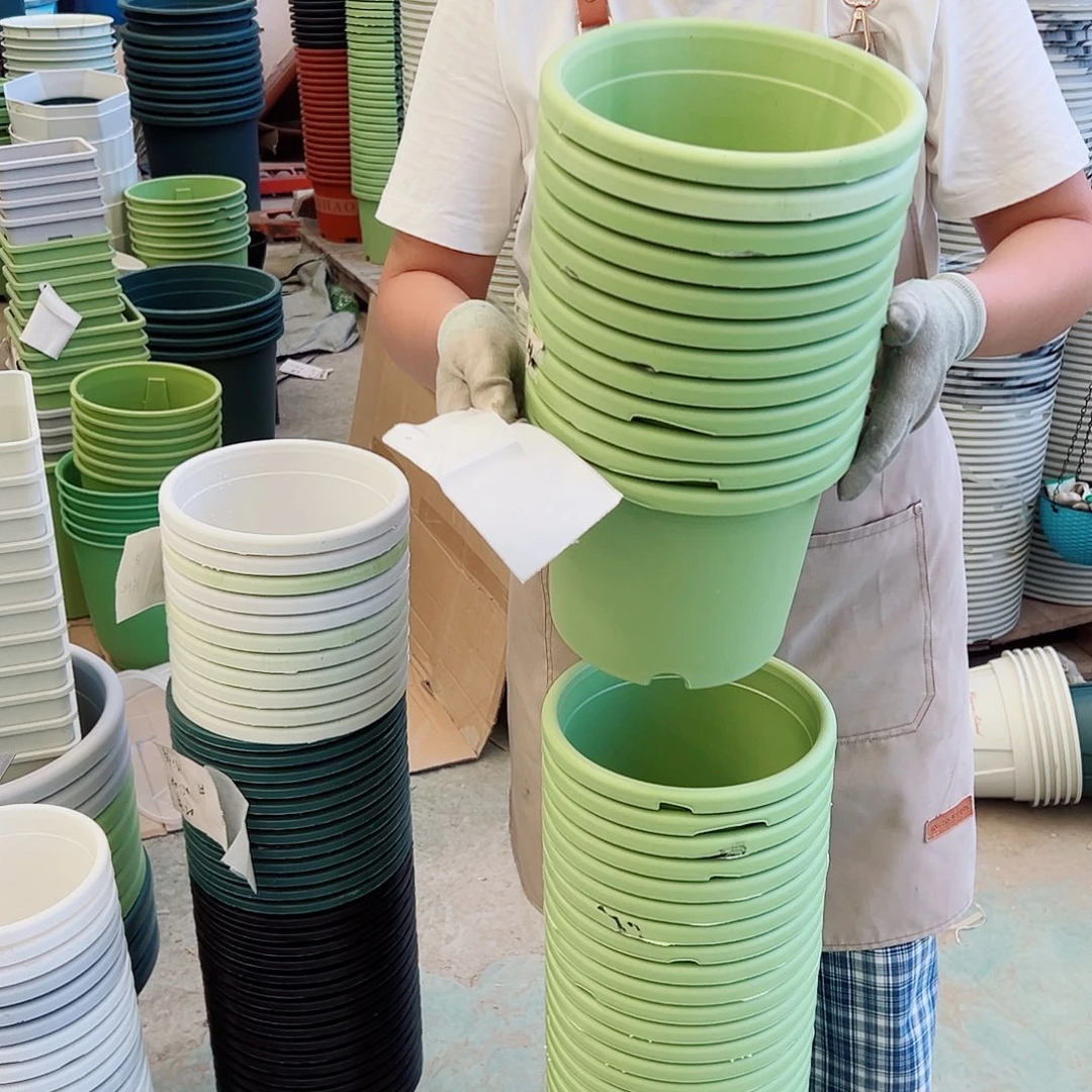 瑕疵四季盆3#果绿色12个无托