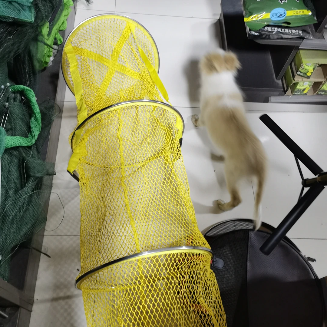 40口径两米二五长鱼护