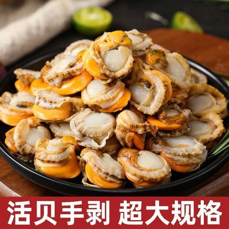 【顺丰包邮】新鲜现剥大号扇贝肉带膏带黄500g/1袋