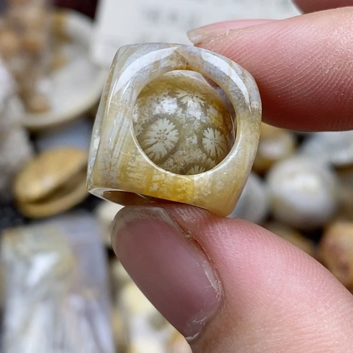 硅化珊瑚（珊瑚玉）未镶嵌颈饰