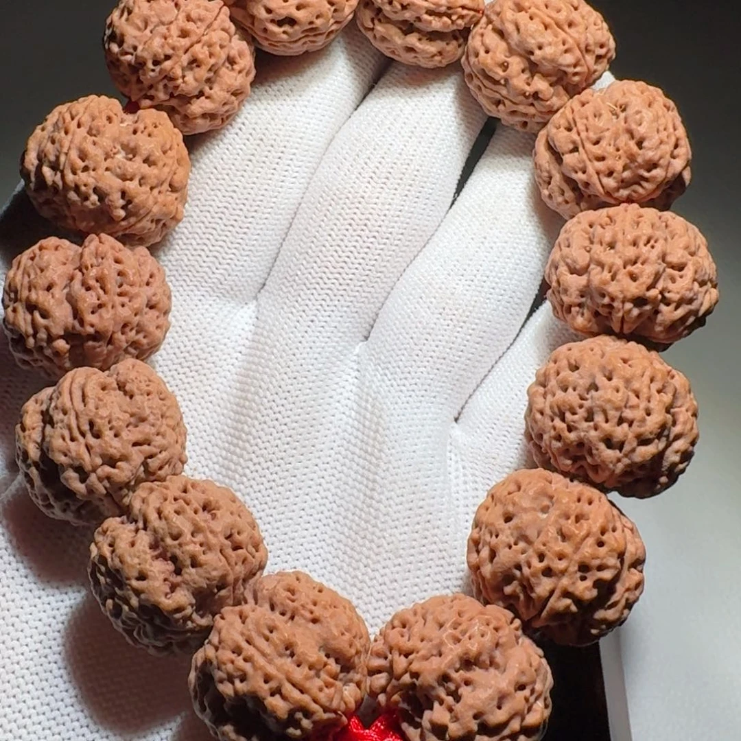 金刚菩提吊坠梁帝王花22.5