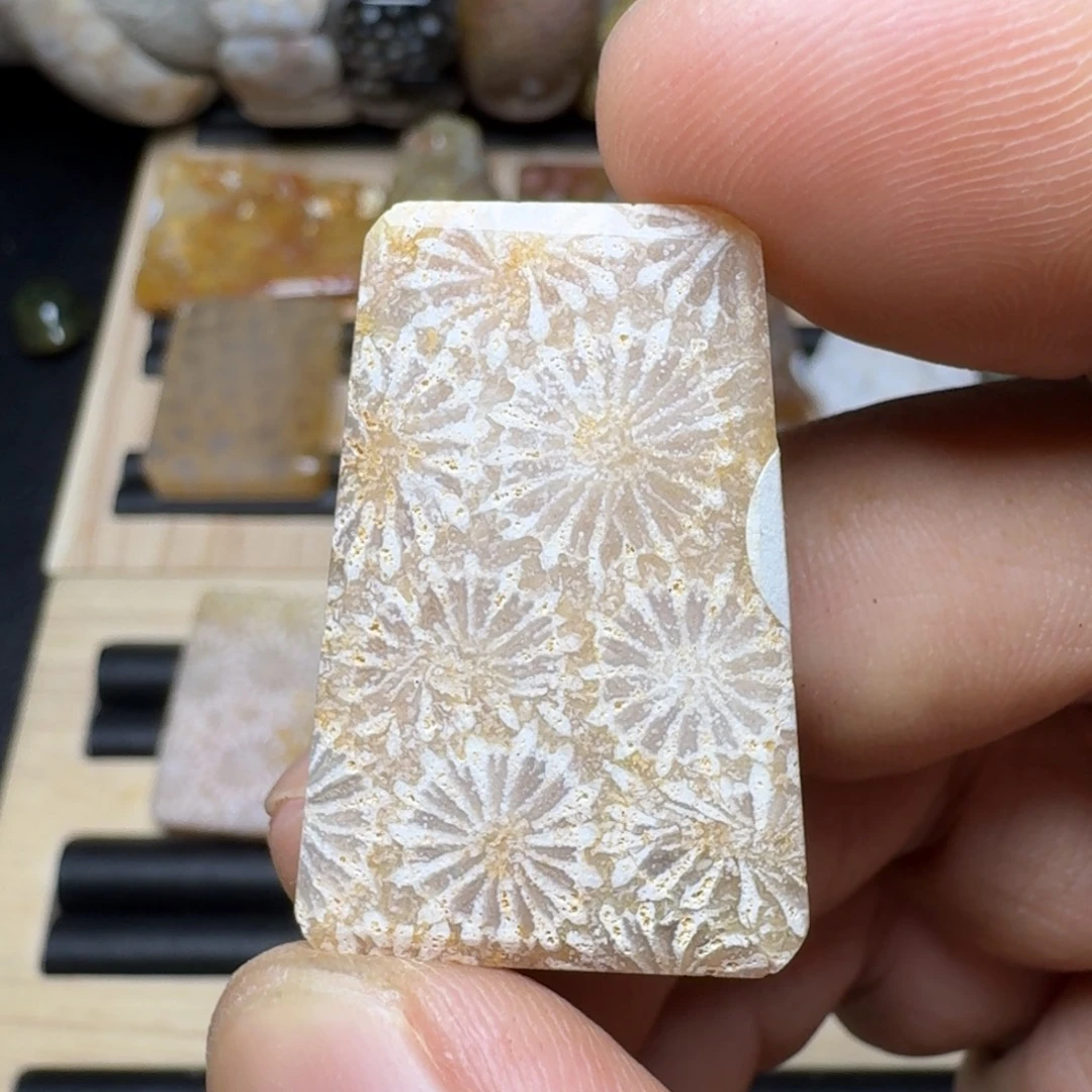 未镶嵌纯天然色有机玉石保真色硅化玉