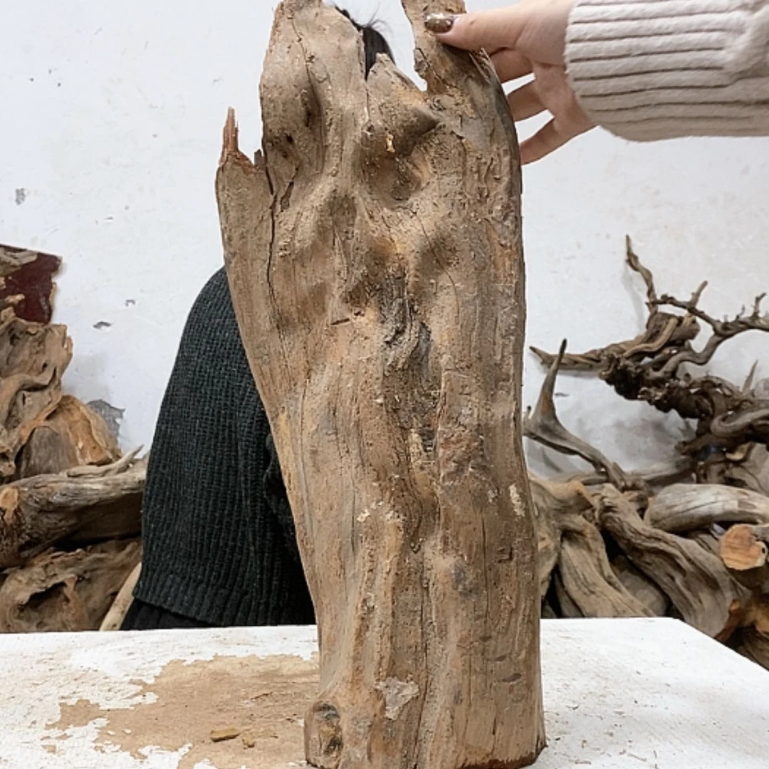 【闪购商品】柏木熊*友我们都是好孩子