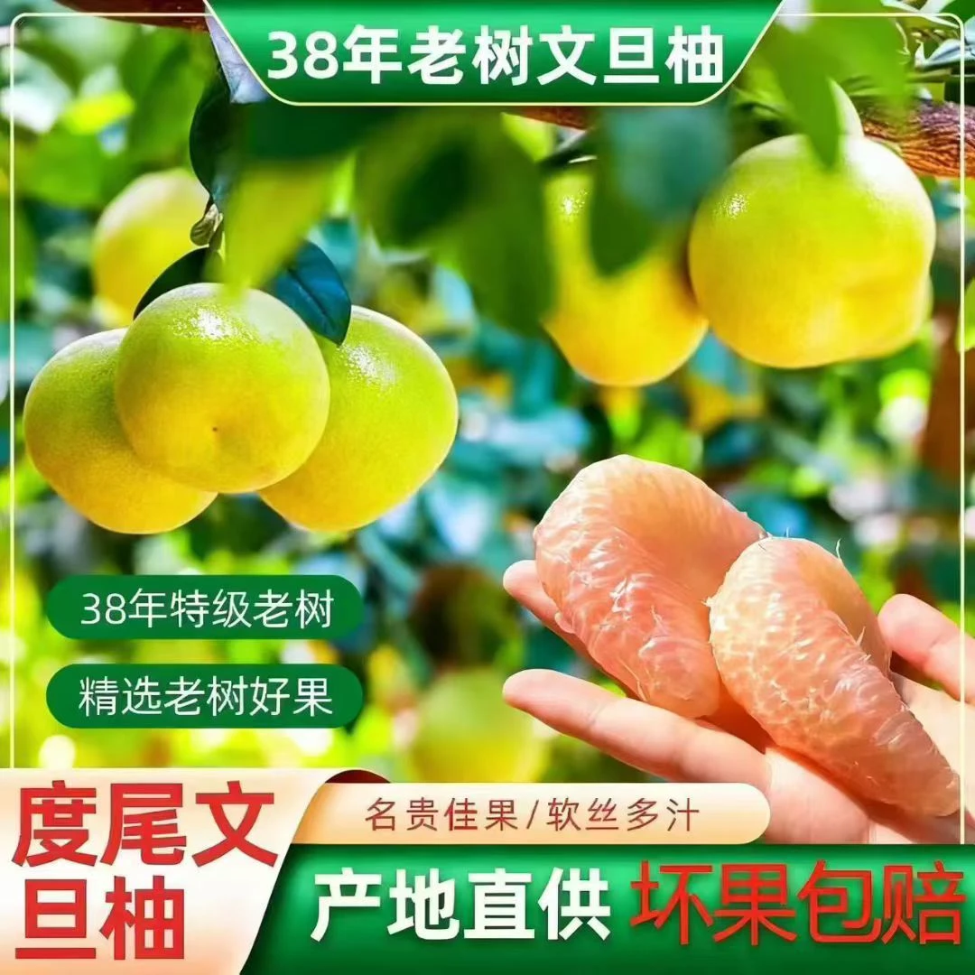 仙游度尾文旦柚红心蜜柚新鲜当季水果