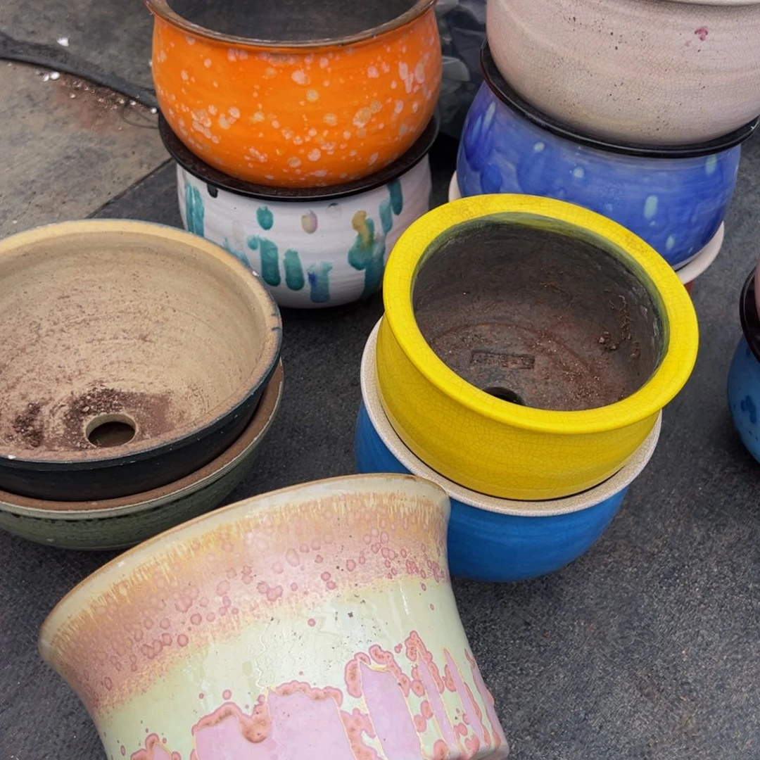 随*?从前慢多肉精选编号0224.352盆12个